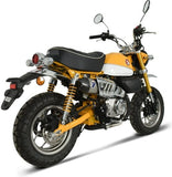 Tubo De Escape Sin Homologación Acústica Acero Inox Copa Carbono - Termignoni Compatible Con Honda Monkey 125 (2018-2020)